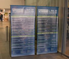 CONGRESO 2019_-128