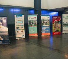 10405467_931789326877936_6525576902983550398_n