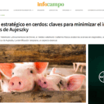 Control estratégico en cerdos: claves para minimizar el impacto del virus de Aujeszky