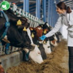 Congreso Drovet 2026: Inteligencia artificial, sanidad animal y los desafíos de la profesión veterinaria